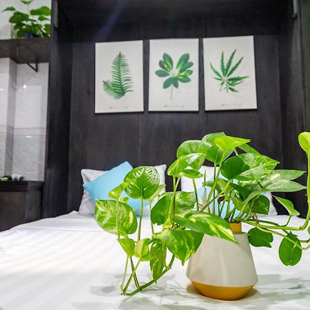 Cola'S Homestay Ho Chi Minh-Byen Eksteriør billede