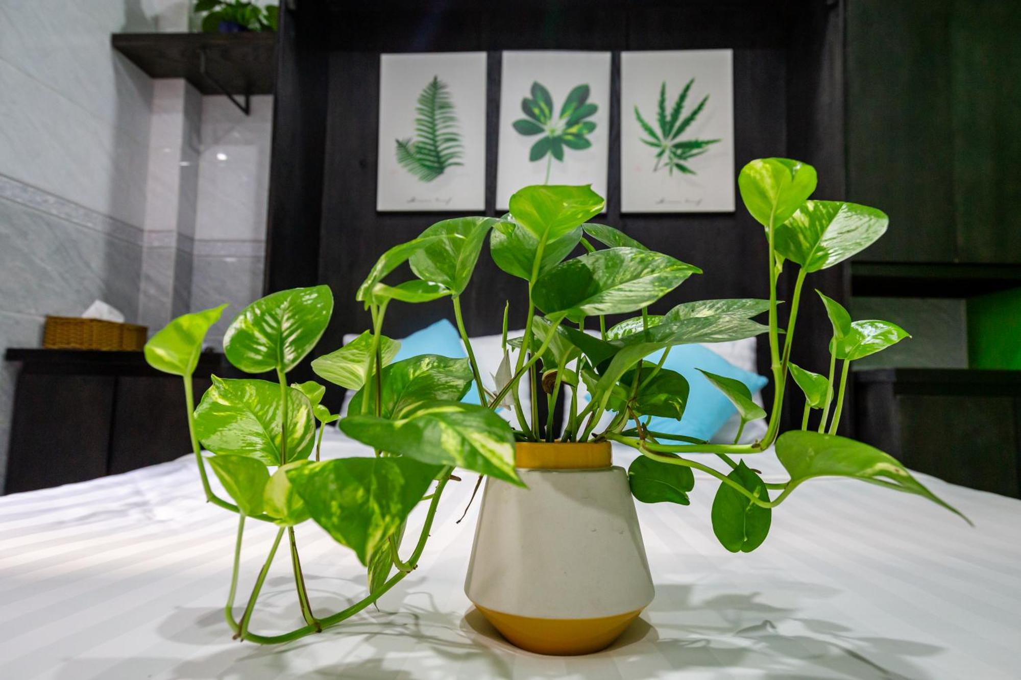 Cola'S Homestay Ho Chi Minh-Byen Eksteriør billede